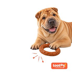 Tootoy! Chew Anillo Trenzado Juguete para perros