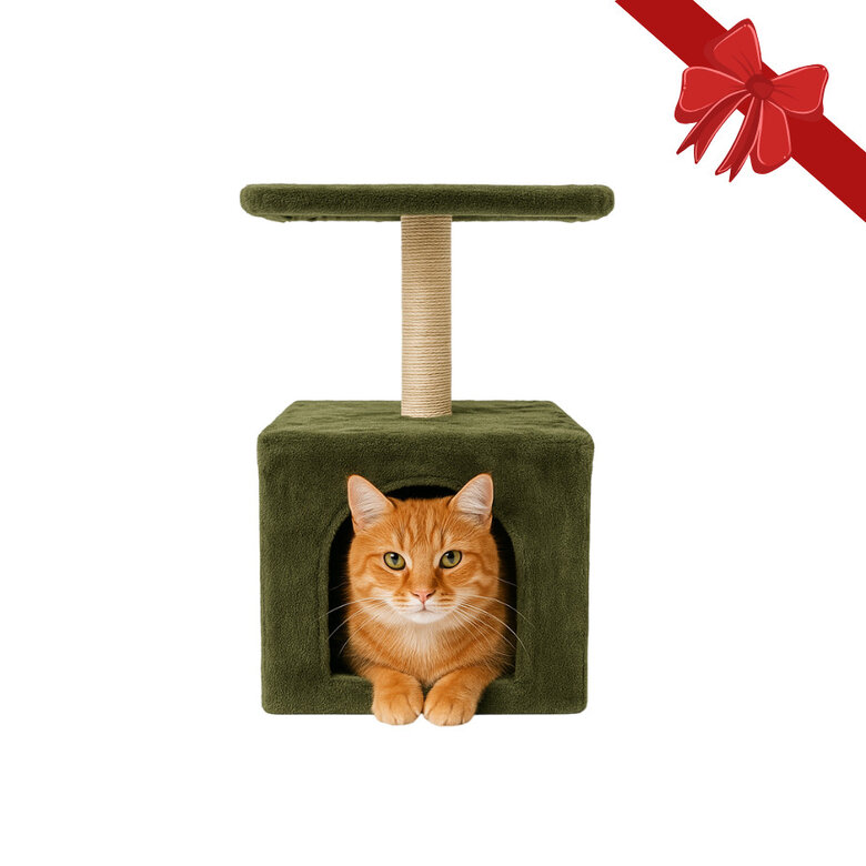 Wonder Christmas Rascador con Poste de Sisal Navideño para gatos,  Imagen numero 1 Wonder Christmas Rascador con Poste de Sisal Navideño para gatos, , large Imagen numero 1