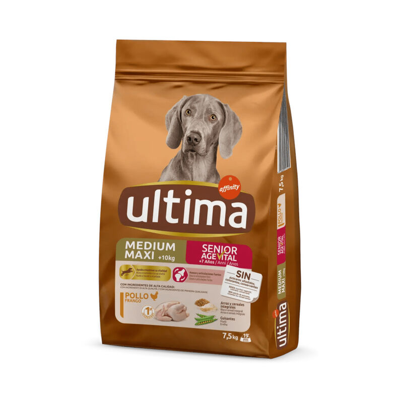 Affinity Ultima Senior Medium/Maxi Pollo pienso para perros