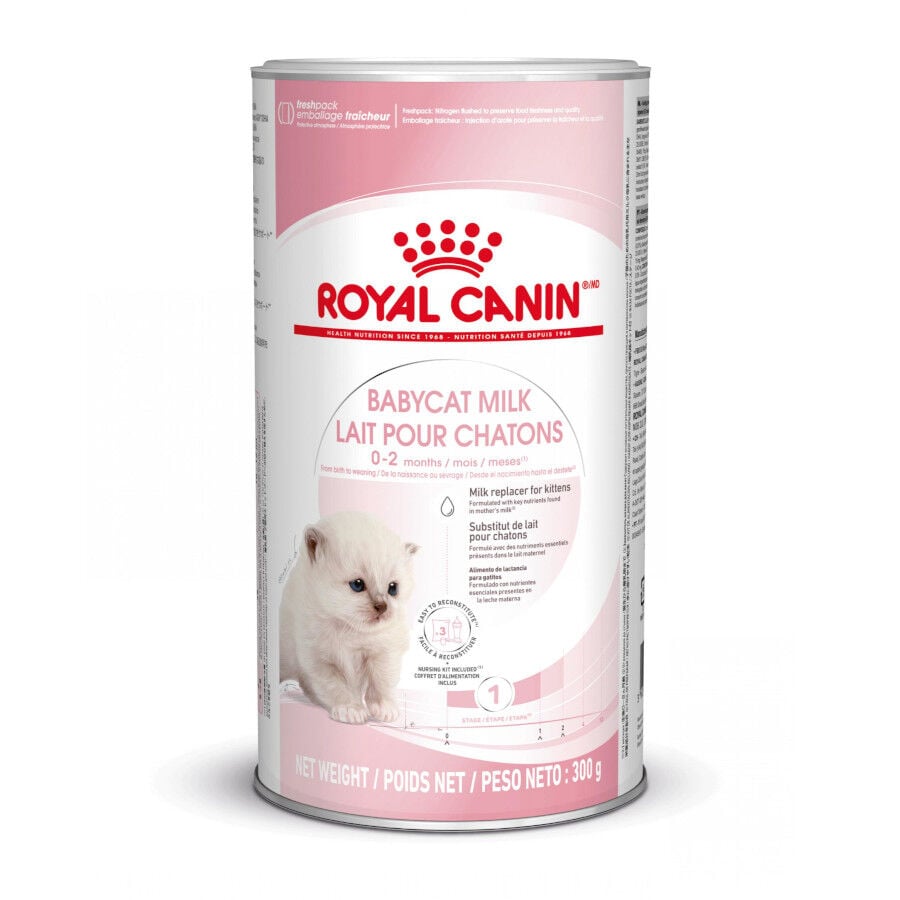 300 g Royal Canin Leche para gatitos primer a&ntilde;o, , large Imagen numero 1