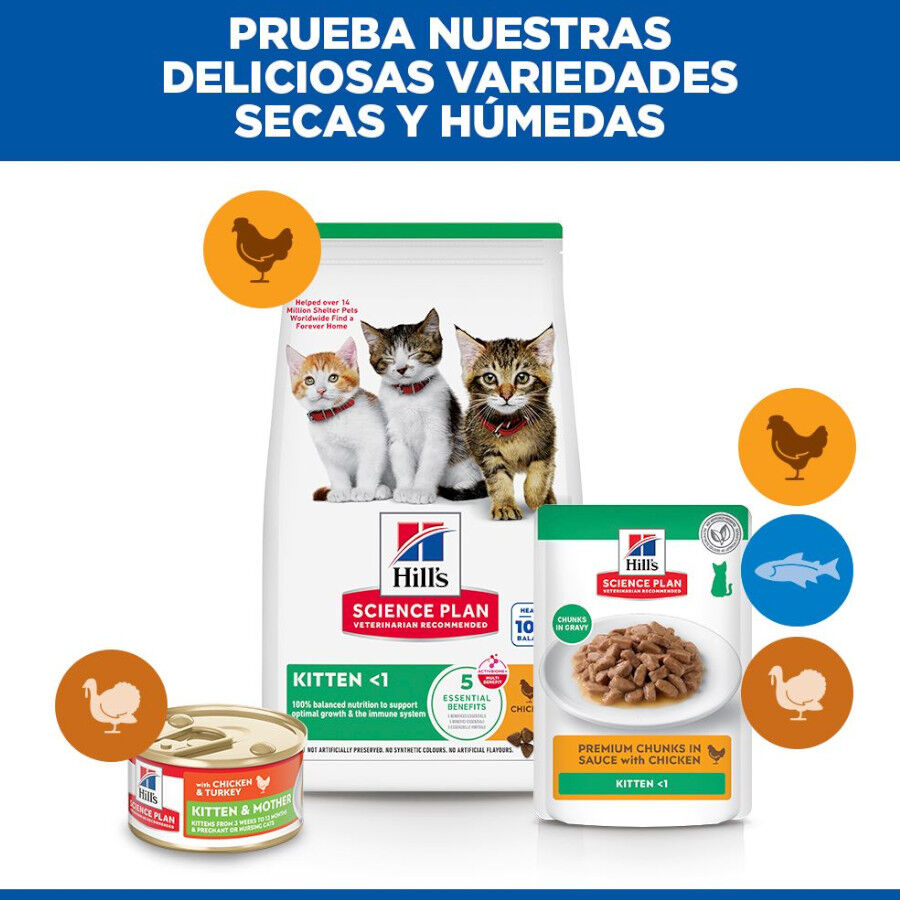 1.5 kg Hill's Science Plan Kitten Pollo pienso para gatos, , large Imagen numero 7