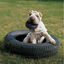 Kong Extreme Traxx neumático mordedor para perros, , large indicador imagen numero 2