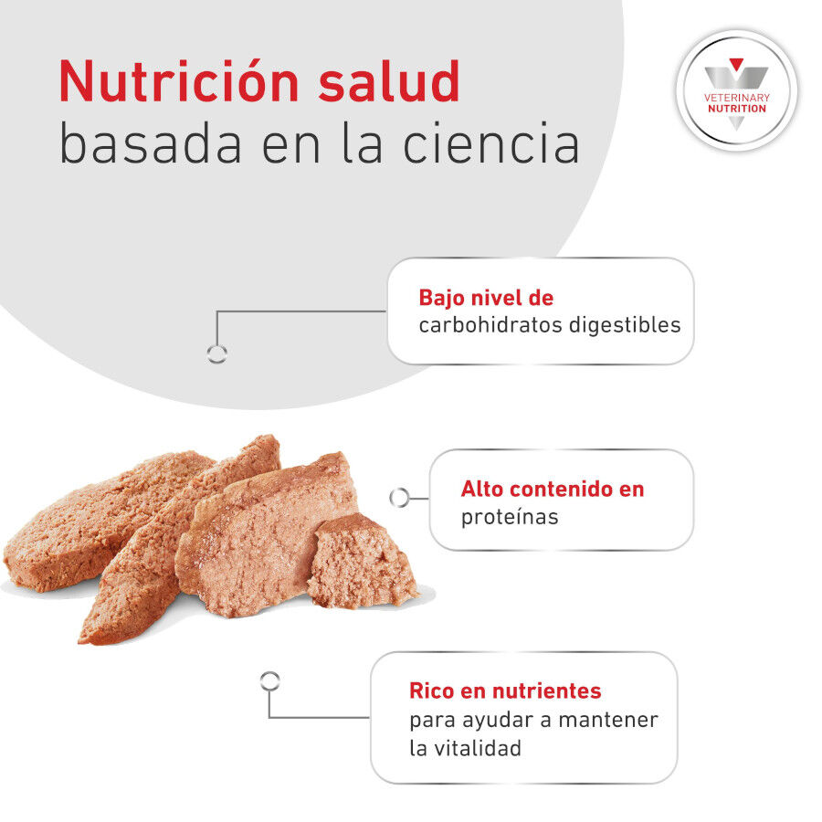 410 g Royal Canin Veterinary Diabetic latas para perros, , large Imagen numero 6