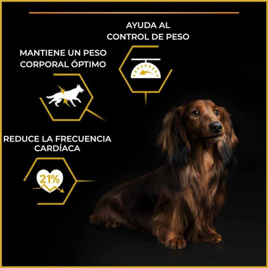 Purina Pro Plan Adult Light Esterilizado Pienso Pollo para perros, , large Imagen numero 4