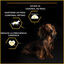 Purina Pro Plan Adult Light Esterilizado Pienso Pollo para perros, , large indicador imagen numero 4