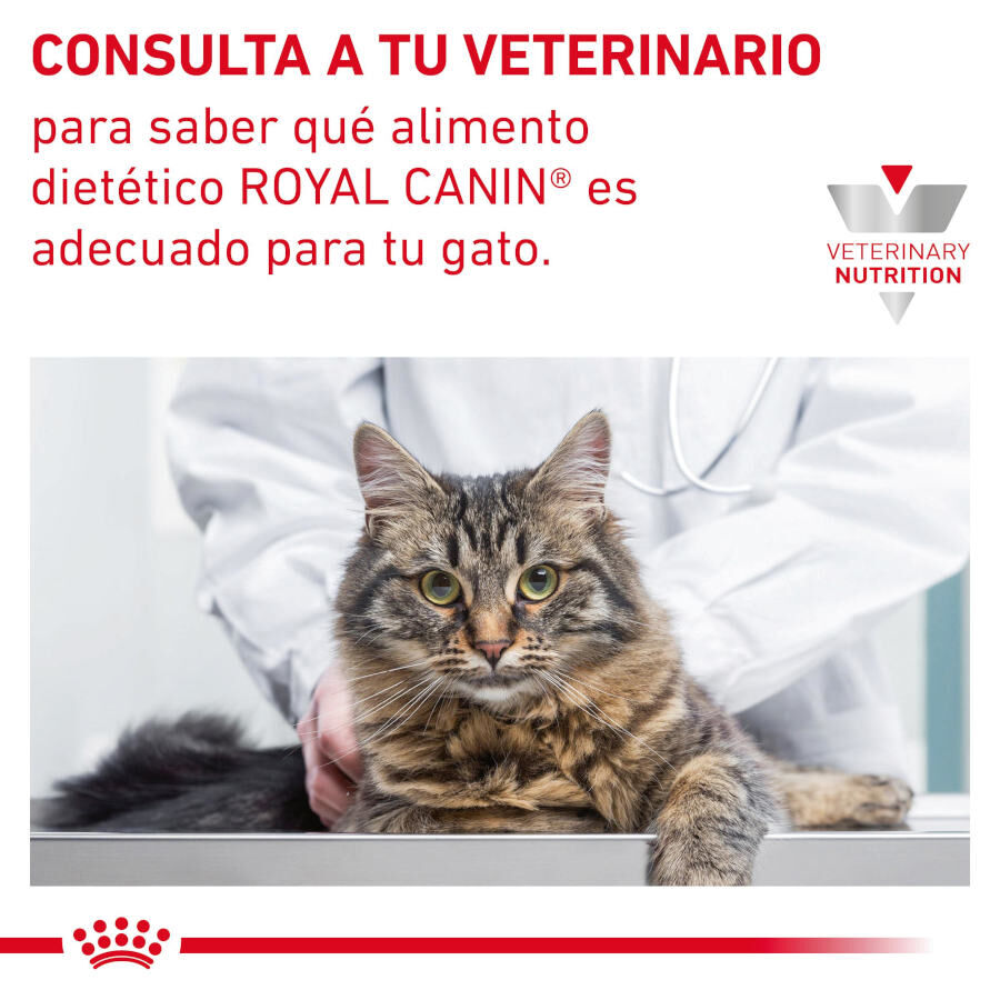 Royal Canin Gastrointestinal Fibre Response Láminas en Salsa Sobre para gatos thumbnail