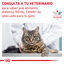 Royal Canin Gastrointestinal Fibre Response Láminas en Salsa Sobre para gatos, , large indicador imagen numero 8