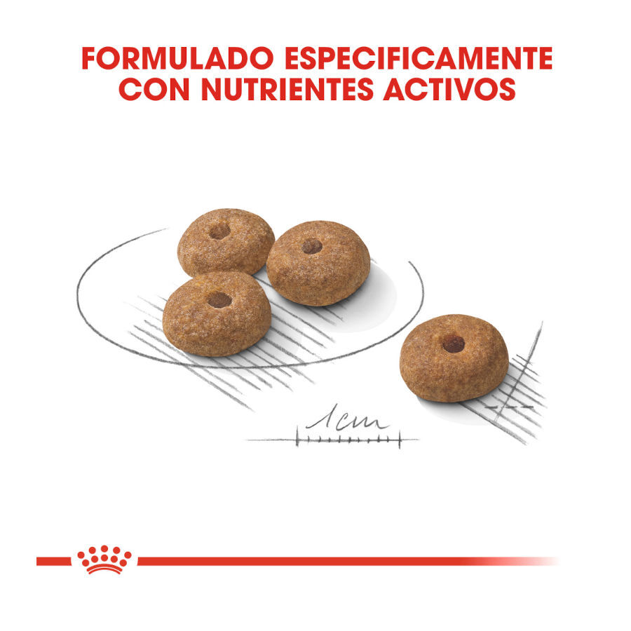 Royal Canin Sterilised Mini pienso para perros thumbnail