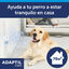 Adaptil Difusor y Recambio Tranquilizante para perros, , large indicador imagen numero 2