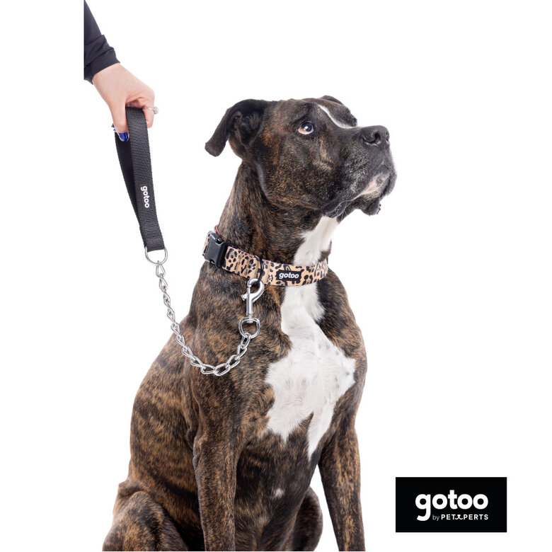 Gotoo Correa de cadena para perros,  Imagen numero 4 Gotoo Correa de cadena para perros, , large Imagen numero 4