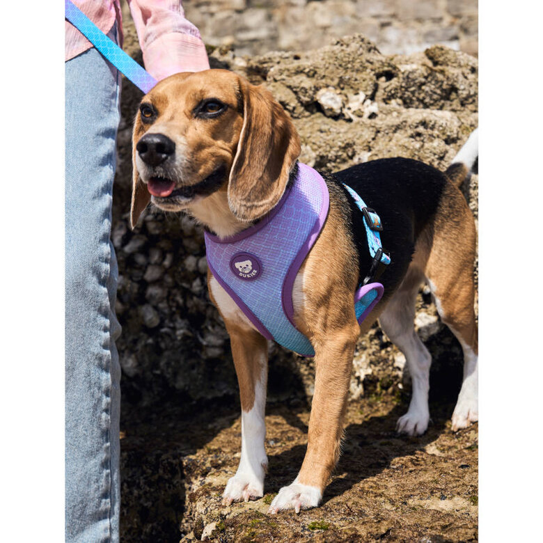 Dukier Mermaid Arnés Reversible para perros,  Imagen numero 2 Dukier Mermaid Arnés Reversible para perros, , large Imagen numero 2