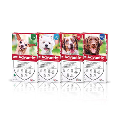 Advantix Pipetas Antiparasitarias para perros