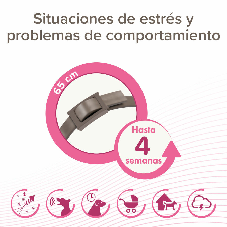 Beaphar CaniComfort Adult Collar Antiestr&eacute;s para perros, , large Imagen numero 3