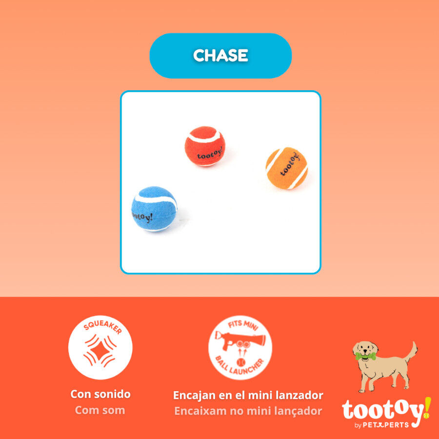Tootoy! Pack de Pelotas de Tenis de Colores para perros thumbnail