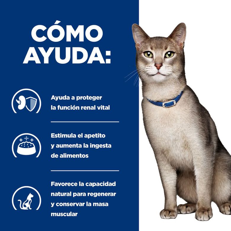 Hill&#039;s Prescription k/d Diet Kidney Care Salmón sobre en salsa para gatos thumbnail