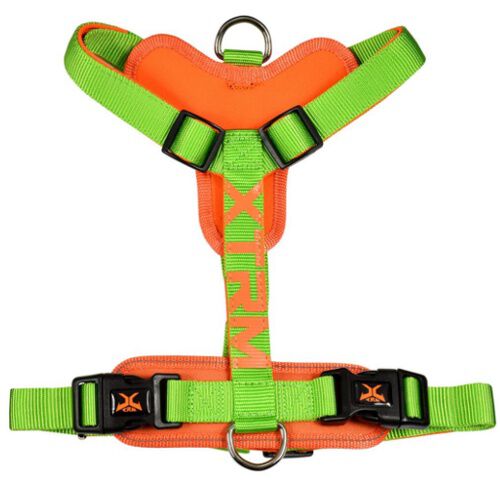 Nayeco X-TRM Cronos Ne&oacute;n verde arn&eacute;s para perros Imagen numero 1