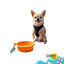 Summer Vibes Comedero Bebedero plegable naranja para perros, , large indicador imagen numero 7