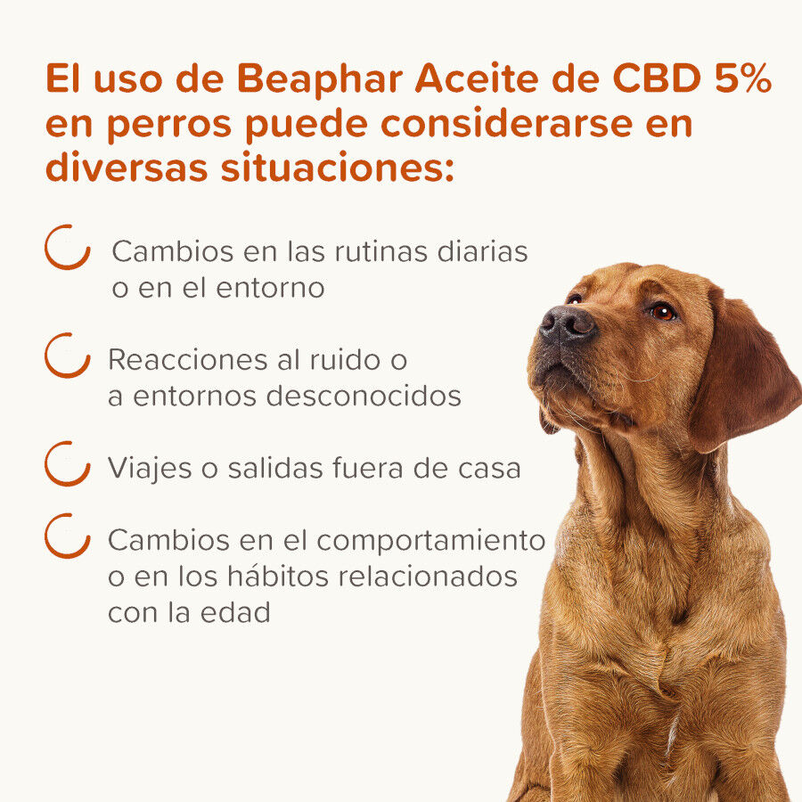 Beaphar Aceite de CBD para perros, , large Imagen numero 3