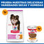 6 kg Hill's Science Plan Light Adult Small y Mini Pollo pienso para perros, , large indicador imagen numero 8