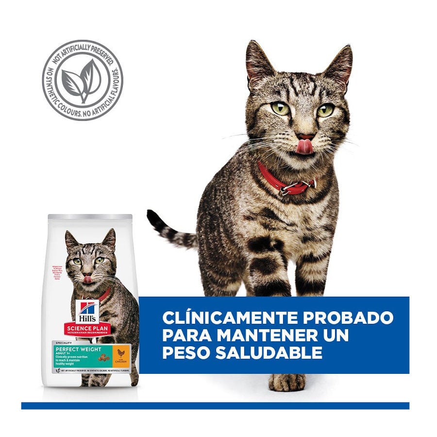 7 kg Hill's Science Plan Perfect Weight Adult pollo pienso para gatos, , large Imagen numero 4