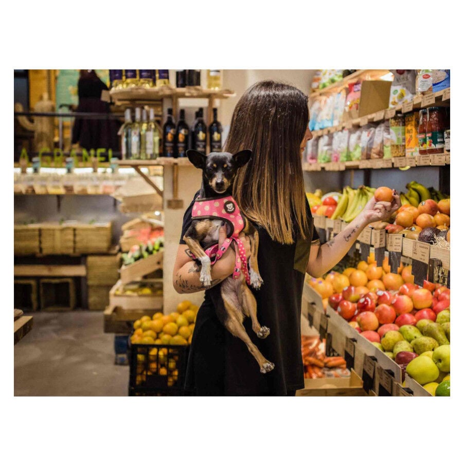 Dukier Dogtella Arn&eacute;s Reversible Estampado Nutella para perros, , large Imagen numero 3