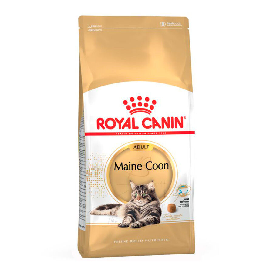 Royal Canin Adult Maine Coon pienso para gatos thumbnail