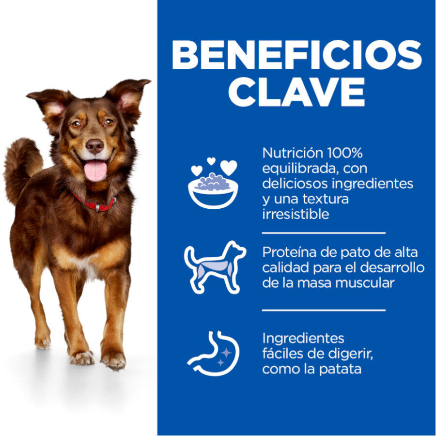 2.5 kg Hill's Science Plan Culinary Creations Pato y Patata pienso para perros medianos, , large Imagen numero 3