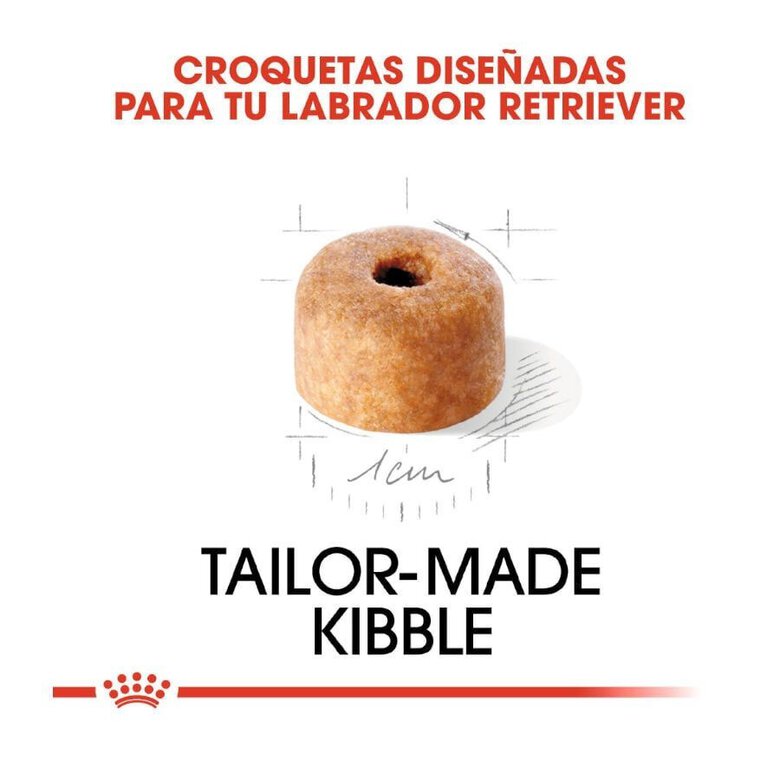 12 kg Royal Canin Puppy Labrador Retriever pienso para perros,  Imagen numero 5 12 kg Royal Canin Puppy Labrador Retriever pienso para perros, , large Imagen numero 5