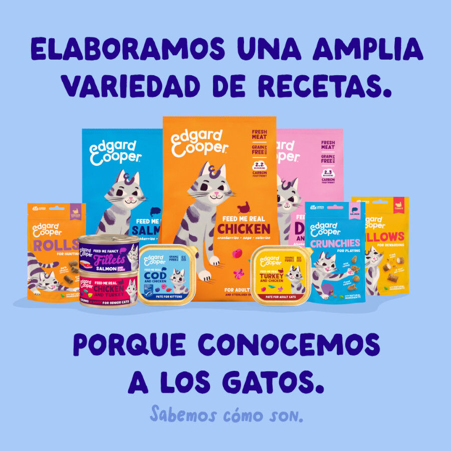 70 g Edgard & Cooper Filetes de At&uacute;n y Pollo lata para gatos, , large Imagen numero 8