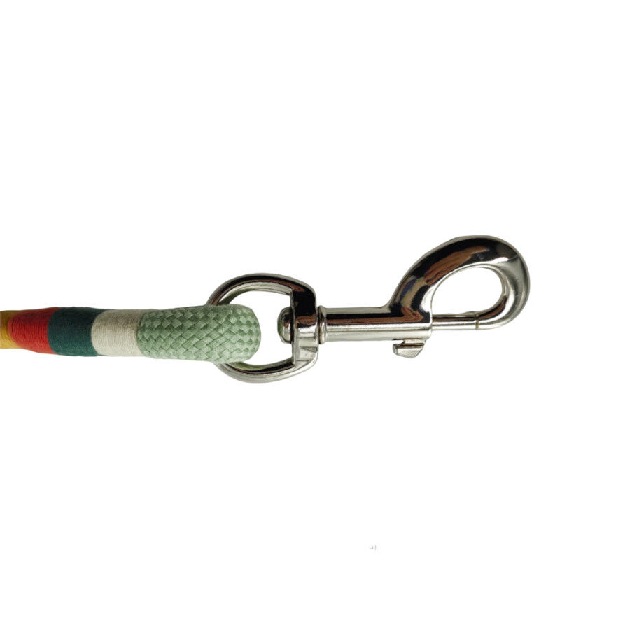 Gotoo Correa redonda verde para perros thumbnail