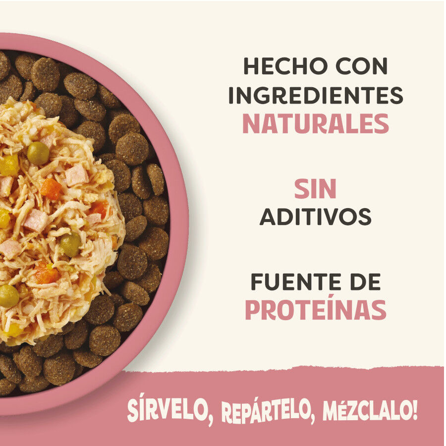 156 g Applaws Taste Toppers Pollo con Jam&oacute;n y Vegetales en Caldo lata para perros, , large Imagen numero 4