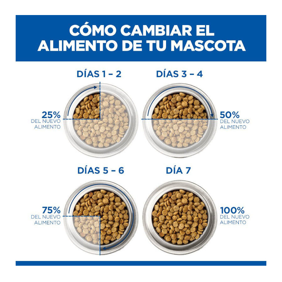 12 kg Hill's Science Plan Perfect Weight Adult Large Pollo pienso para perros, , large Imagen numero 7
