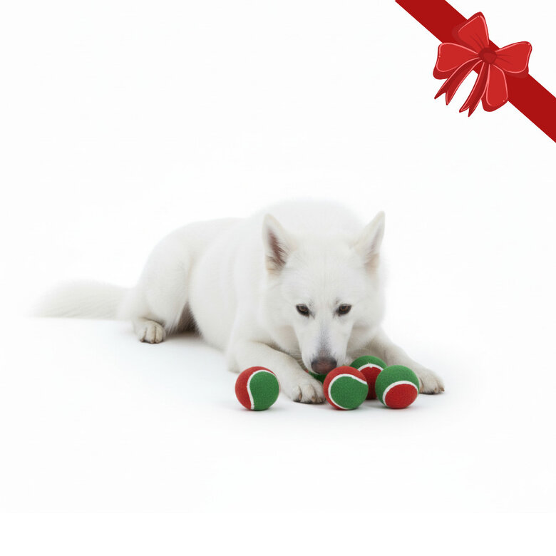 Wonder Christmas Pelotas de Tenis Navideñas para perros,  Imagen numero 1 Wonder Christmas Pelotas de Tenis Navideñas para perros, , large Imagen numero 1