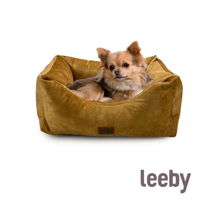 Leeby Cuna Impermeable y Desenfundable Dorada para perros thumbnail