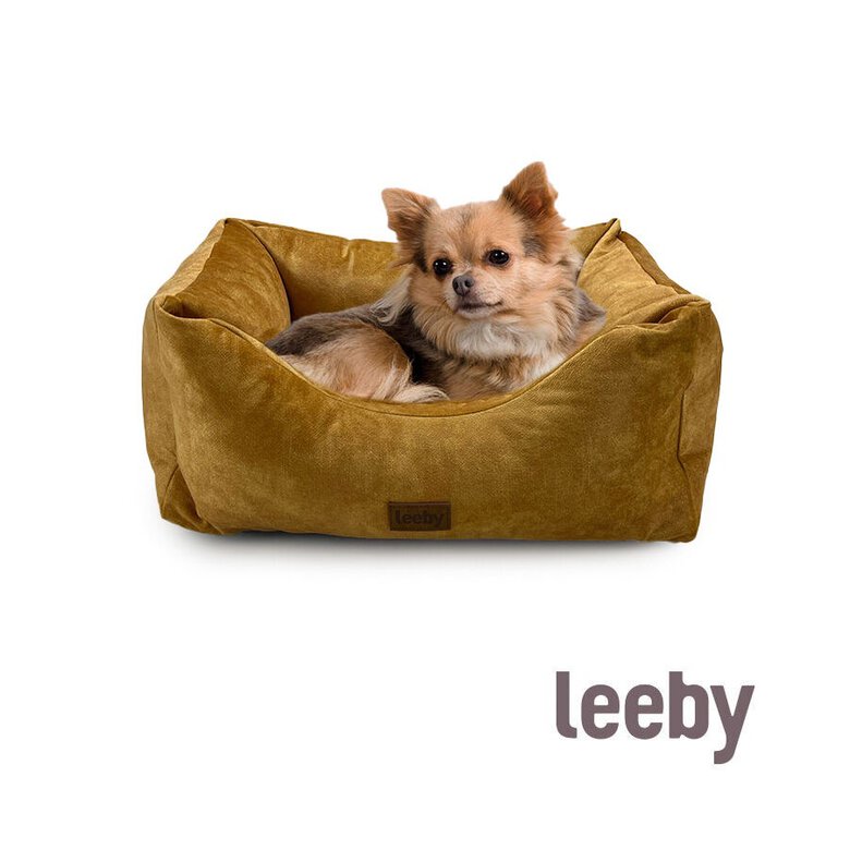 Leeby Cuna Impermeable y Desenfundable Dorada para perros,  Imagen numero 2 Leeby Cuna Impermeable y Desenfundable Dorada para perros, , large Imagen numero 2