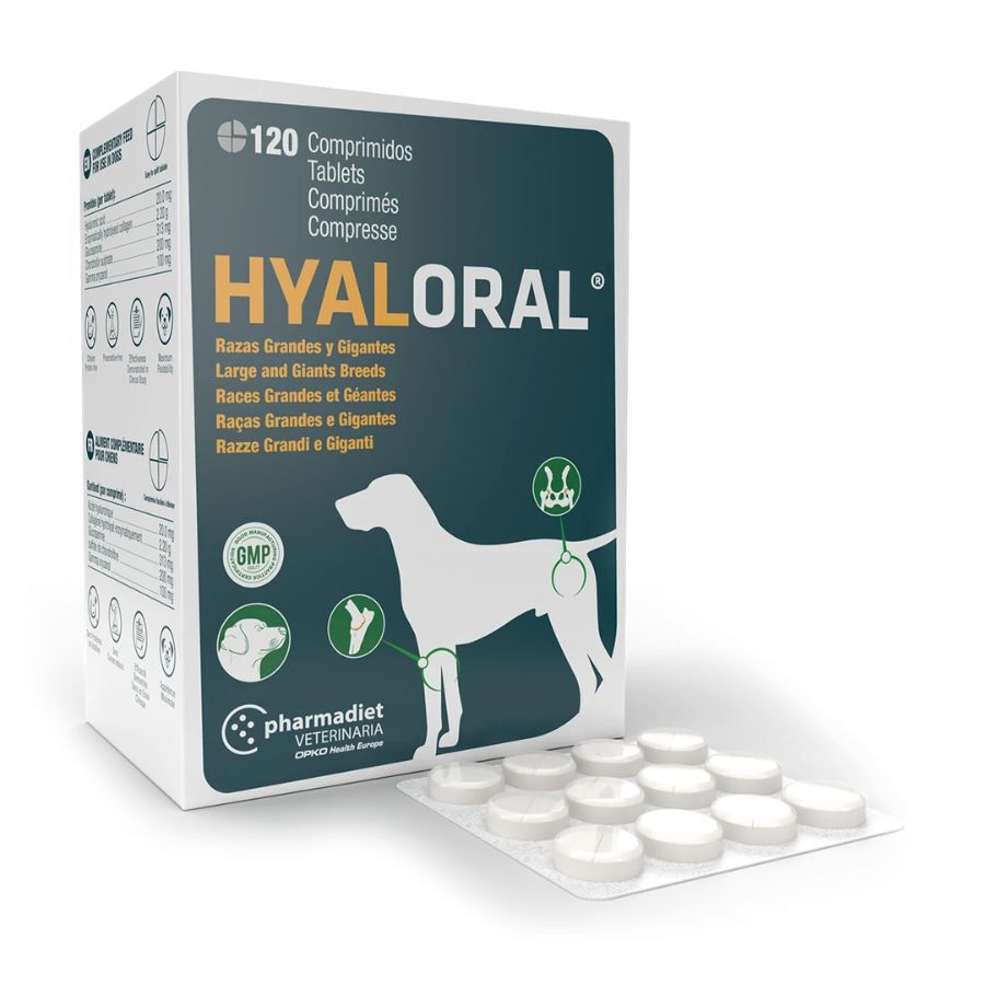 Pharmadiet Hyaloral Condoprotector para perros de razas grandes y gigantes, , large Imagen numero 1