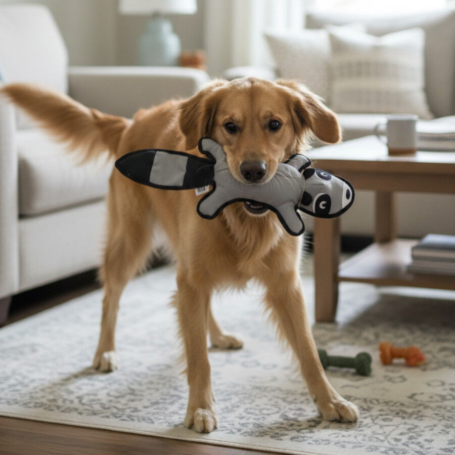 LOVE THE EARTH Peluche Resistente Mapache con Sonido para perros, , large Imagen numero 1