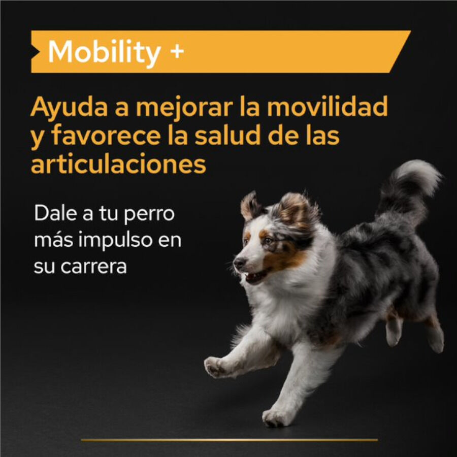 60 g Pro Plan Mobility+ Suplemento para perros, , large Imagen numero 3
