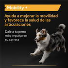 Pro Plan Mobility+ Suplemento para perros, , large image number null