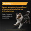 Pro Plan Mobility+ Suplemento para perros, , large indicador imagen numero 3