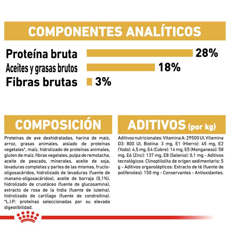 Royal Canin Adult Yorkshire Terrier pienso para perros thumbnail