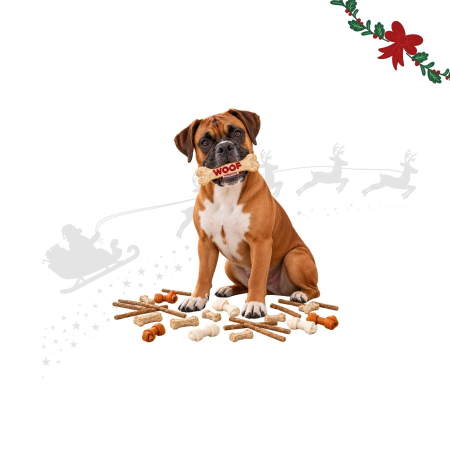 1 pack x 39 uds. Wonder Christmas Caja Regalo Cuero Prensado Snacks para perros, , large Imagen numero 1