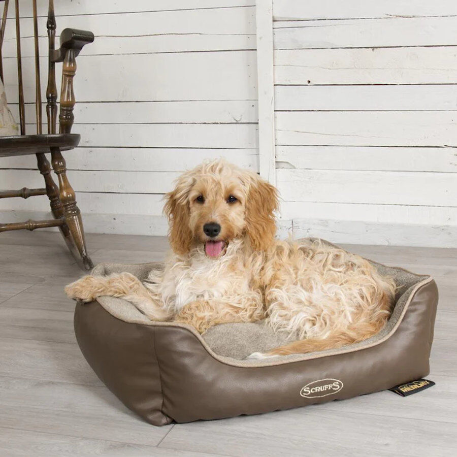 Cama ortopédica on sale perro kiwoko