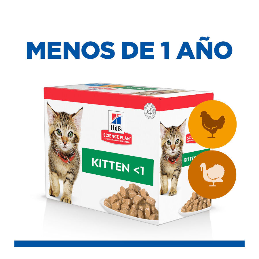 12 sobres x 85 g Hill's Science Plan Kitten Pollo y Pavo en Salsa sobre para gatos, , large Imagen numero 2