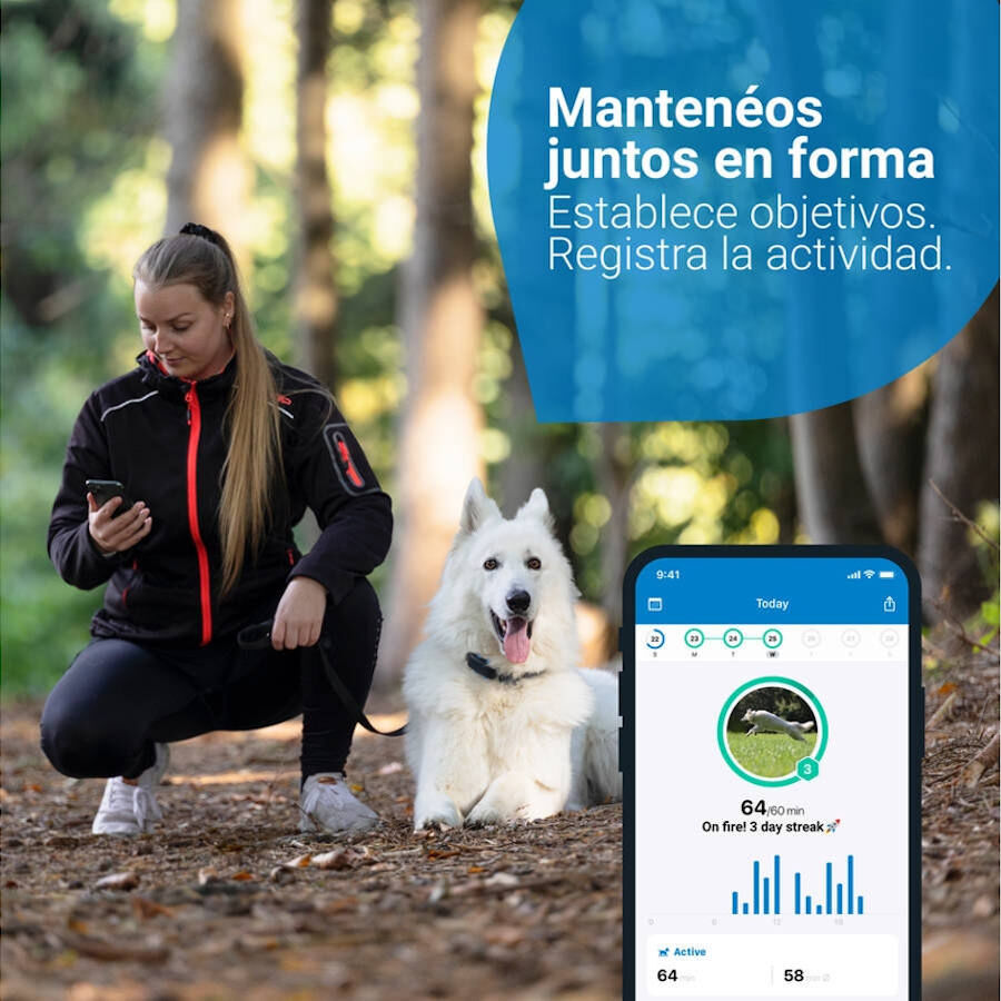 Tractive Localizador GPS color azul para perros, , large Imagen numero 3