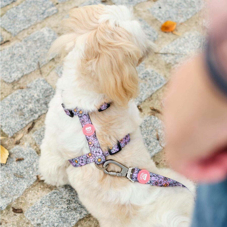 Dukier Flower Power Arn&eacute;s Cl&aacute;sico para perros, , large Imagen numero 2