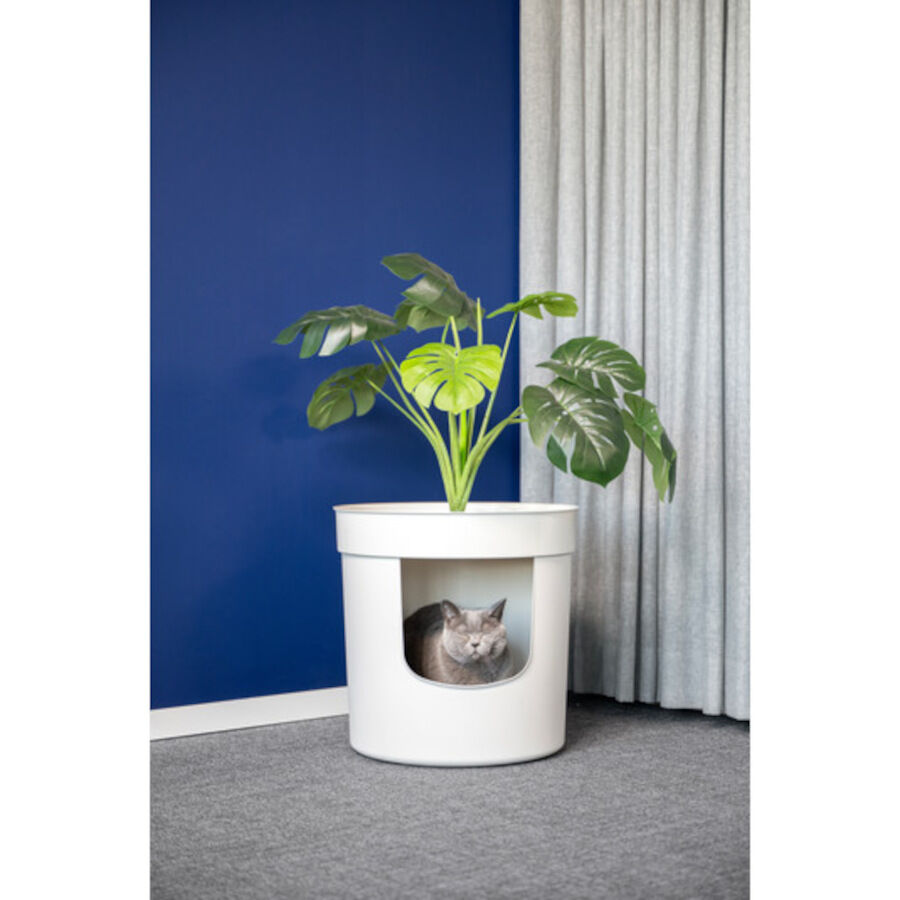 Nova Clean Planter Arenero para gatos, , large Imagen numero 4