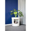 Nova Clean Planter Arenero para gatos, , large indicador imagen numero 4
