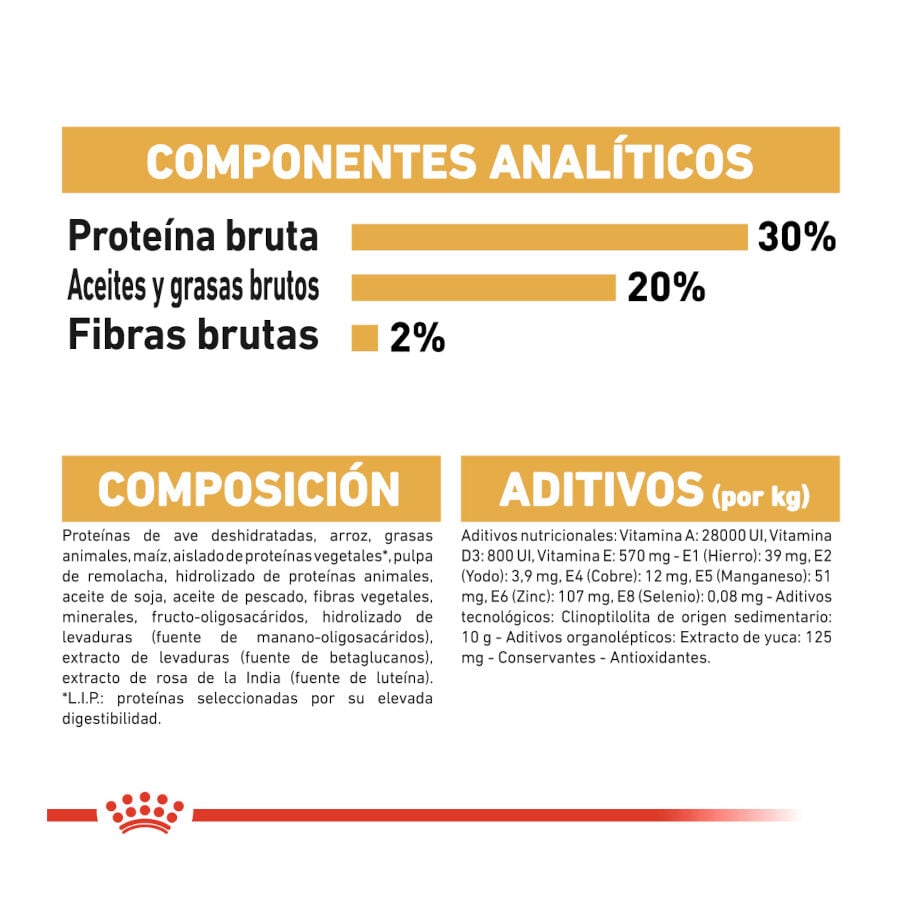 500 g Royal Canin Puppy Chihuahua pienso para cachorros, , large Imagen numero 8