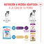 15 kg Royal Canin Junior Giant pienso para perros, , large indicador imagen numero 6